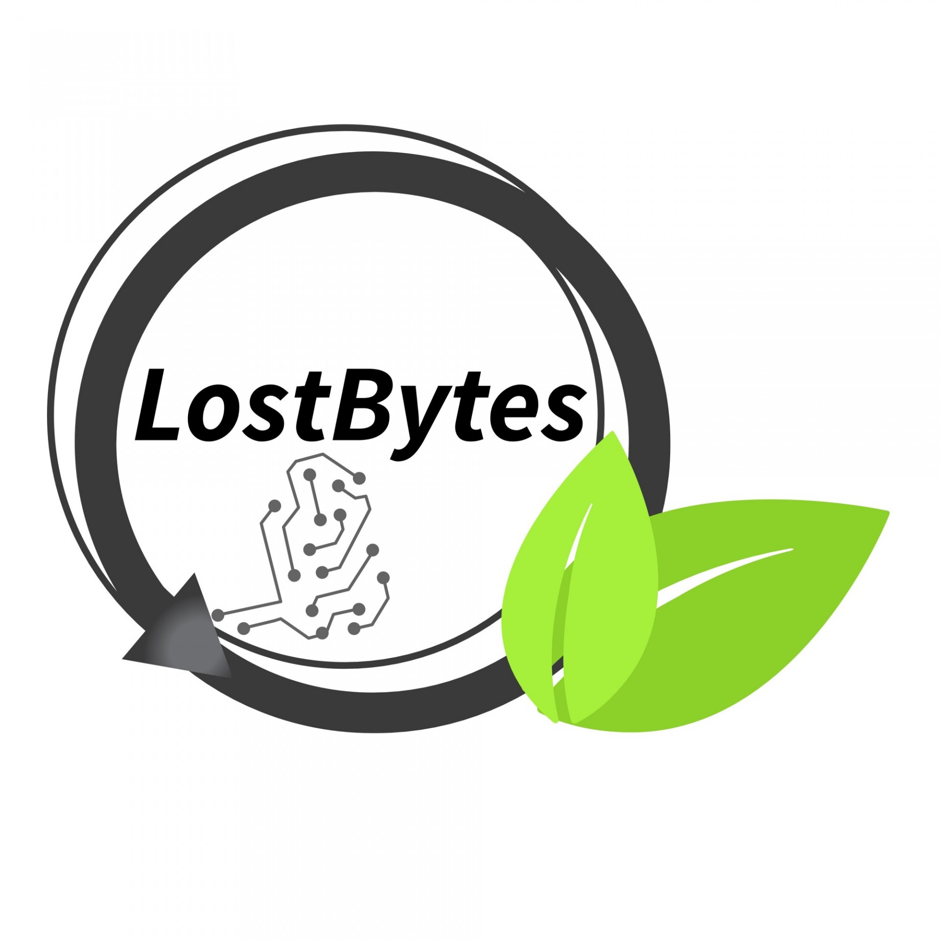 lostbytes logo