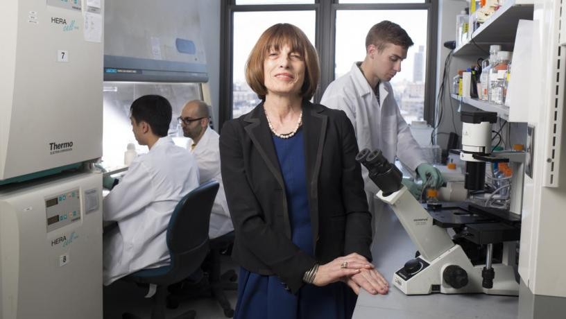Dr. Gordana Vunjak-Novakovic runs the Laboratory for Stem Cells and Tissue Engineering in Columbia's Department of Engineering Gordana in her lab